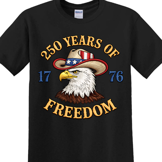 Faux Embroidery Patriotic Eagle Dark Shirt | USA 250 Years Of Freedom Shirt, Patriotic Tee 684492