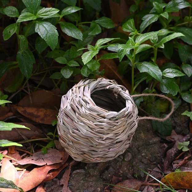 💲50% OFF-🐦Hummingbird Nest House