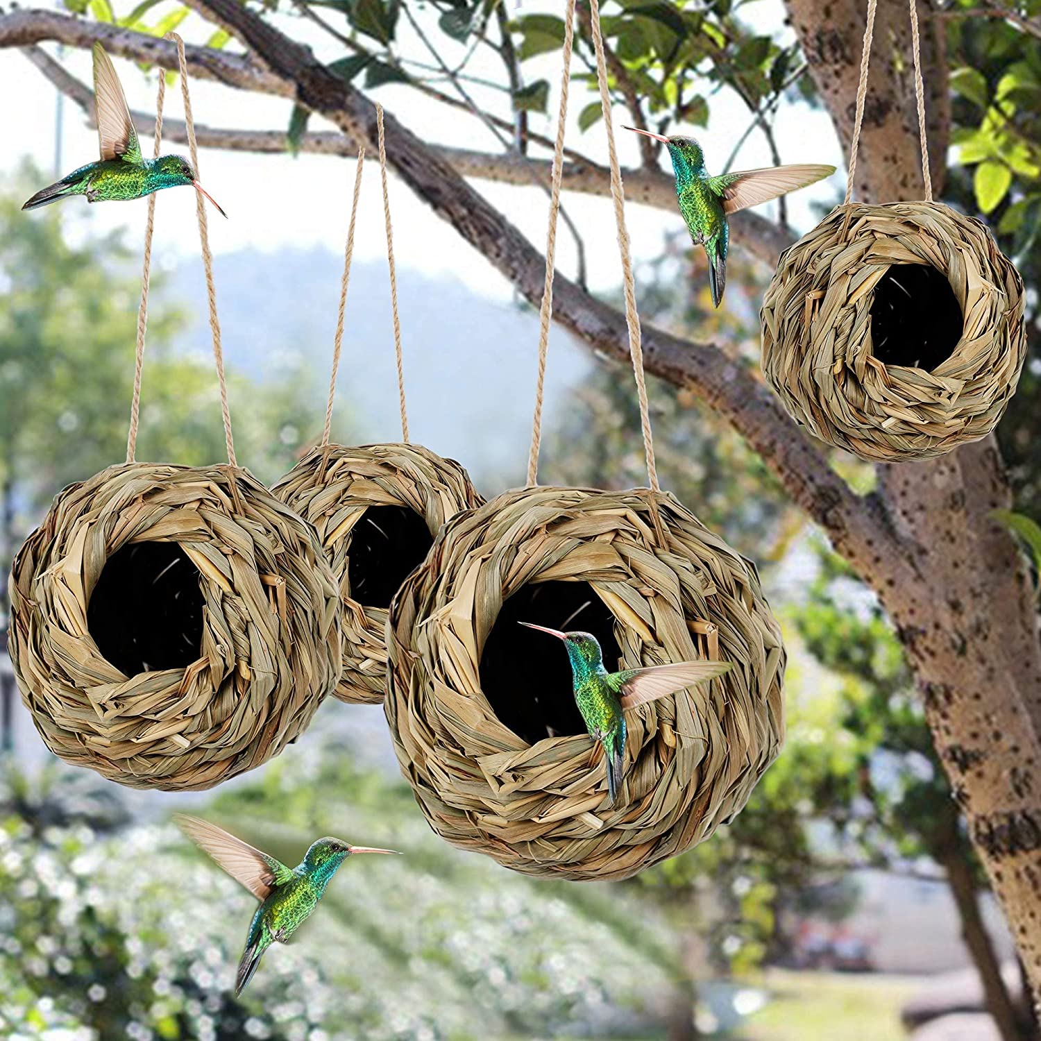 💲50% OFF-🐦Hummingbird Nest House