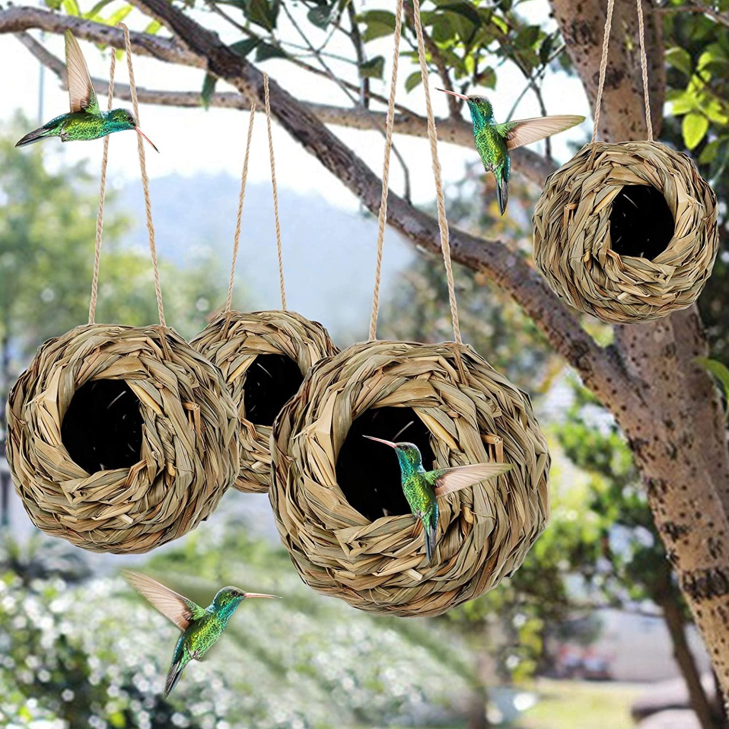 💲50% OFF-🐦Hummingbird Nest House