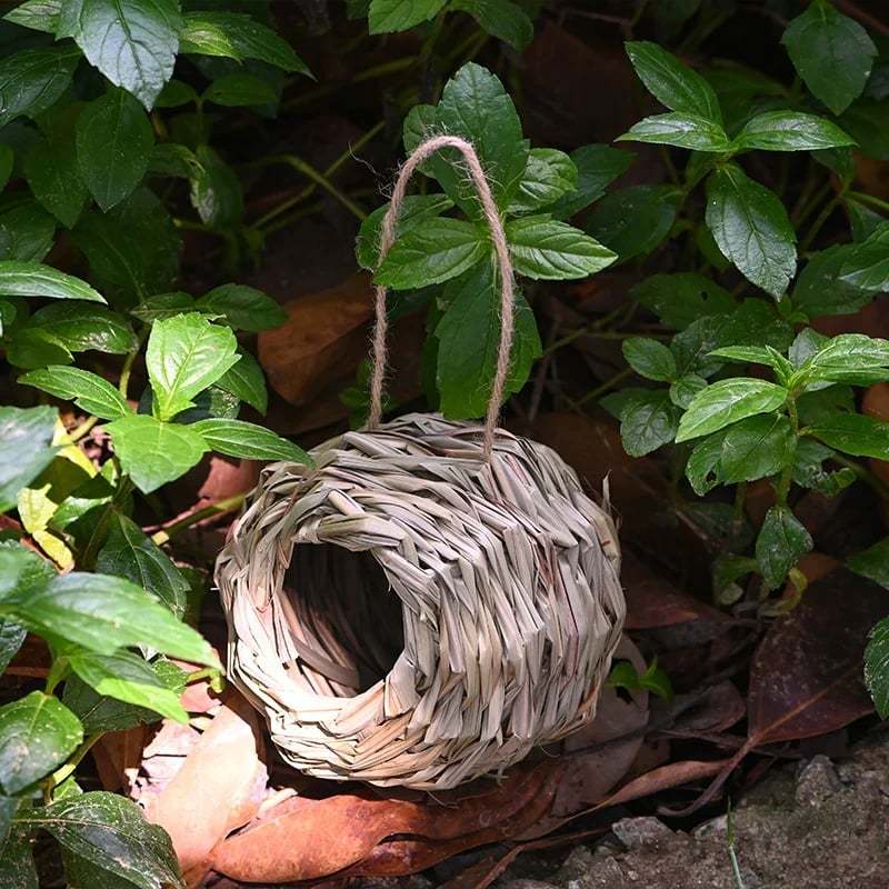 💲50% OFF-🐦Hummingbird Nest House