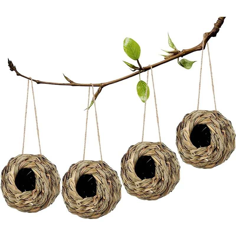 💲50% OFF-🐦Hummingbird Nest House