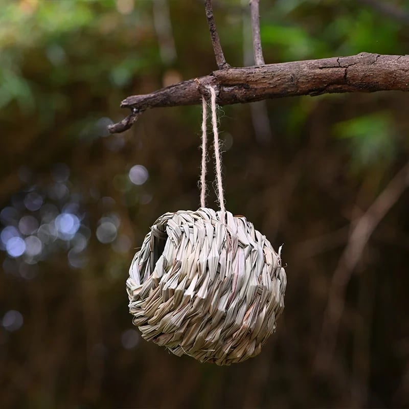 💲50% OFF-🐦Hummingbird Nest House