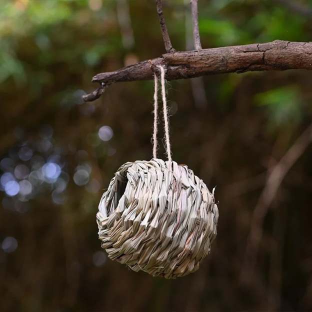 💲50% OFF-🐦Hummingbird Nest House