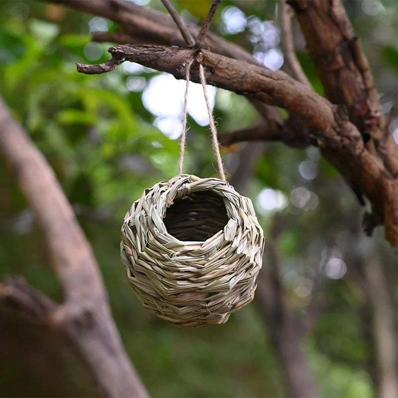💲50% OFF-🐦Hummingbird Nest House