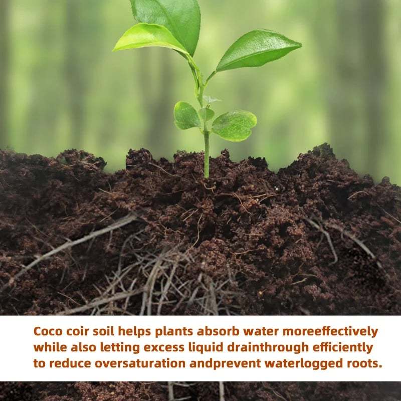 🔥 LAST DAY 49% OFF 🌱 Premium Organic Coconut Coir Bricks For Plants🥥