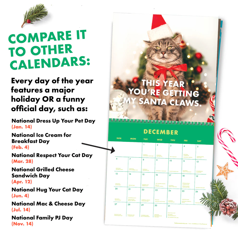 🐾2026 Pissed-off Cats Calendar
