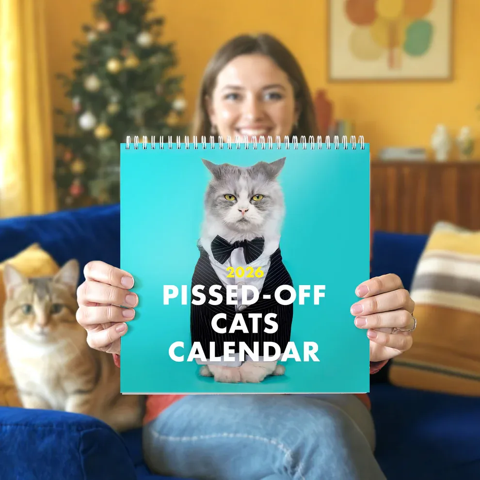 🐾2026 Pissed-off Cats Calendar