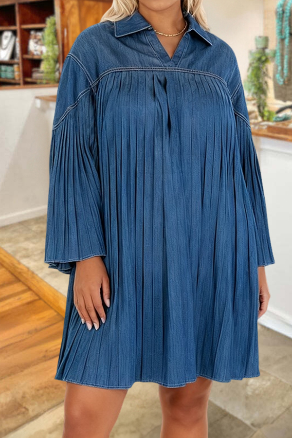 Stylish And Elegant Pleated Dress