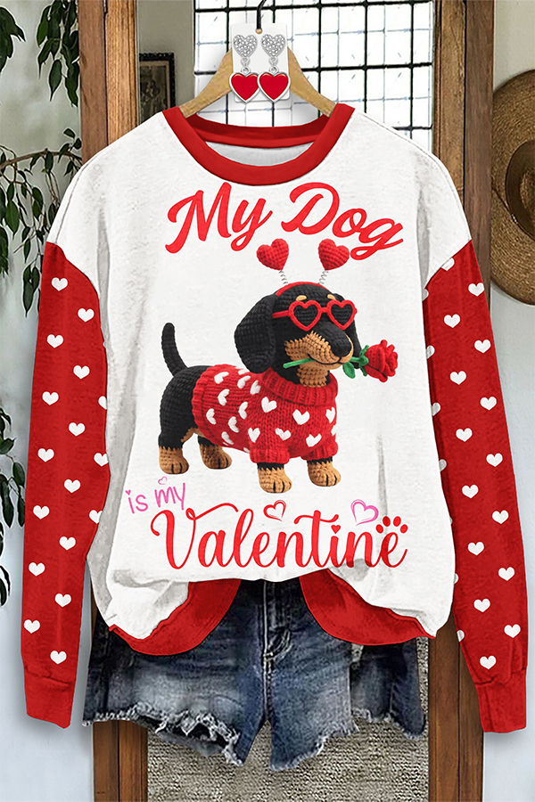 Valentine's Day Heart Dog Sweatshirt