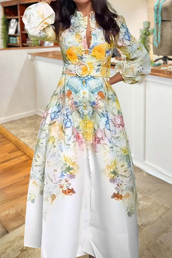 Elegant Floral Print Lantern Sleeve Dress