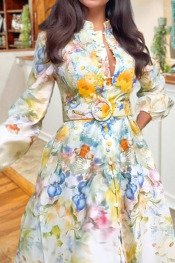 Elegant Floral Print Lantern Sleeve Dress