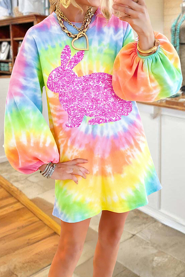 Cute Easter Bunny Sweatshirt Dress