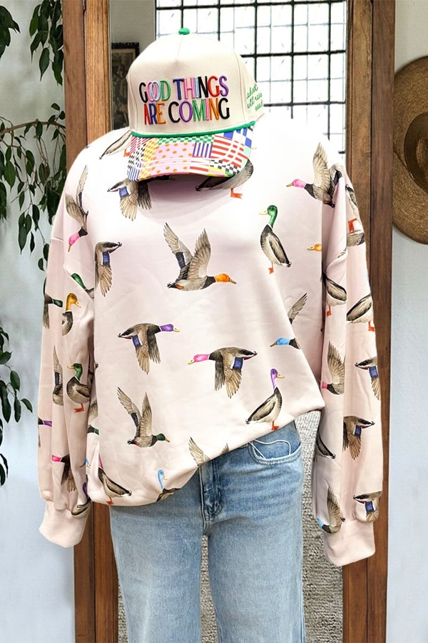 Casual Flying Ducks Sweatshirt