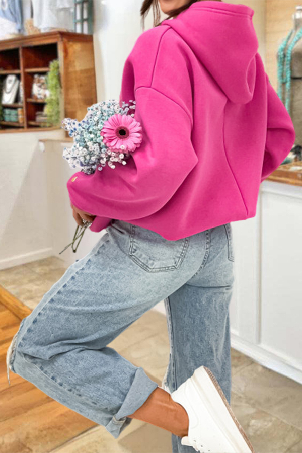 Loose-Fitting Embroidered Cappuccino Hoodie