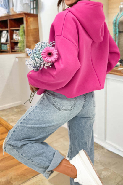 Loose-Fitting Embroidered Cappuccino Hoodie