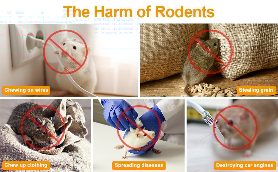 mouse repellent balls