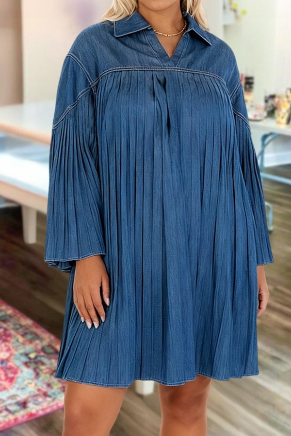 Stylish And Elegant Pleated Dress