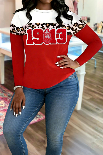 Delta Sigma Theta Sorority Leopard Print T-Shirt