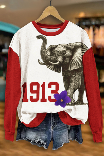 Delta Sigma Theta Sorority Color Block Sweatshirt