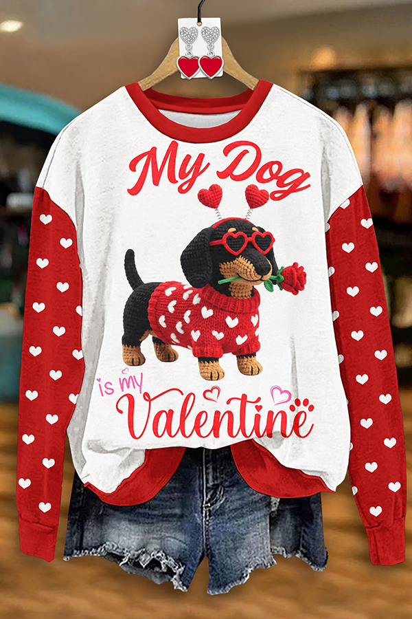 Valentine's Day Heart Dog Sweatshirt