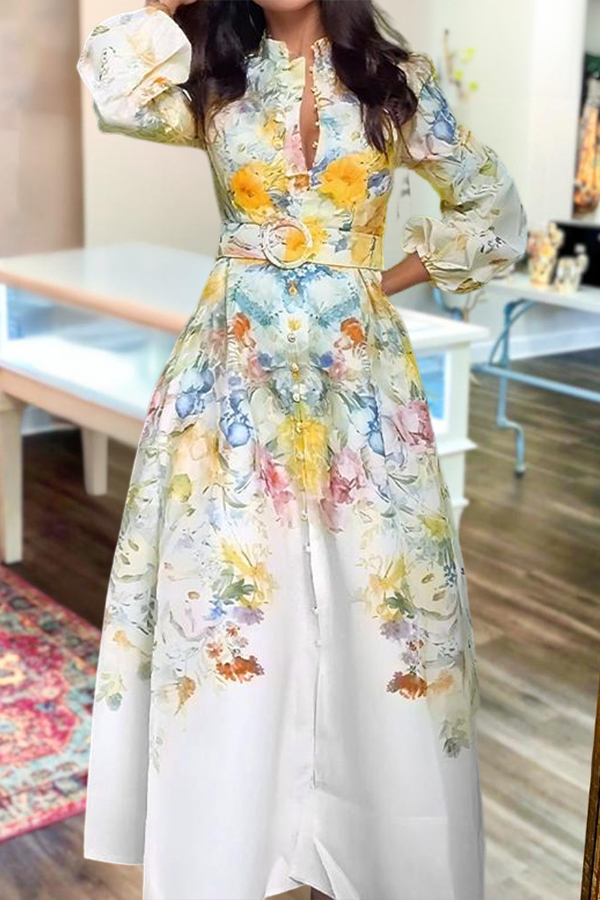 Elegant Floral Print Lantern Sleeve Dress