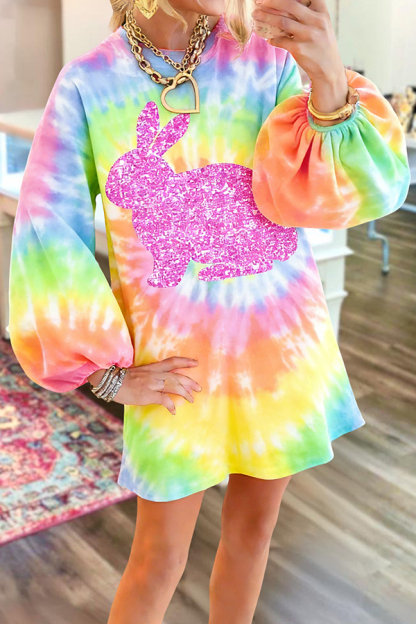 Cute Easter Bunny Sweatshirt Dress