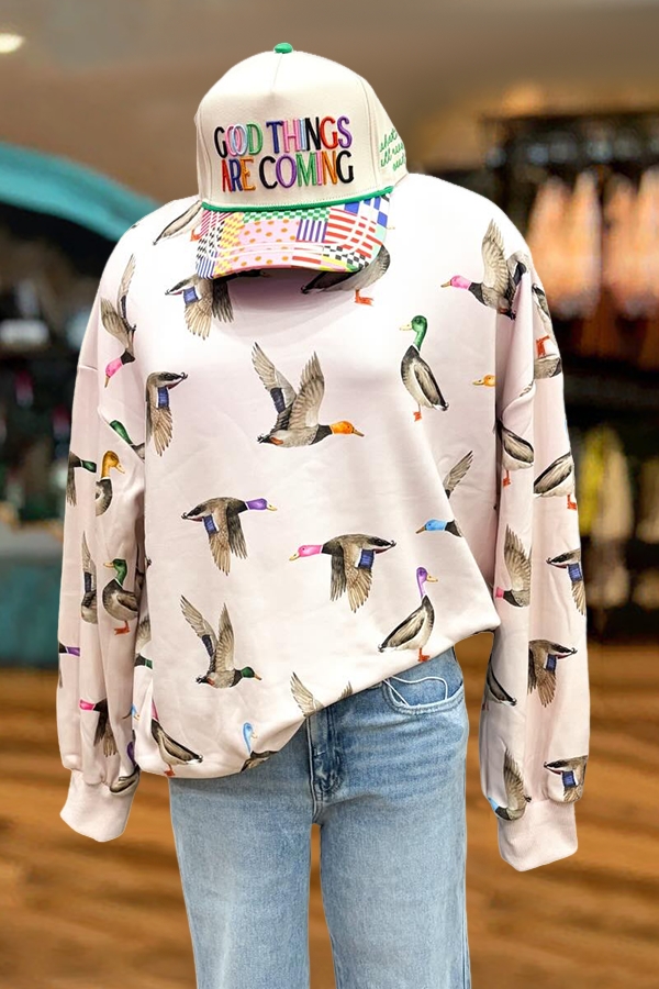 Casual Flying Ducks Sweatshirt
