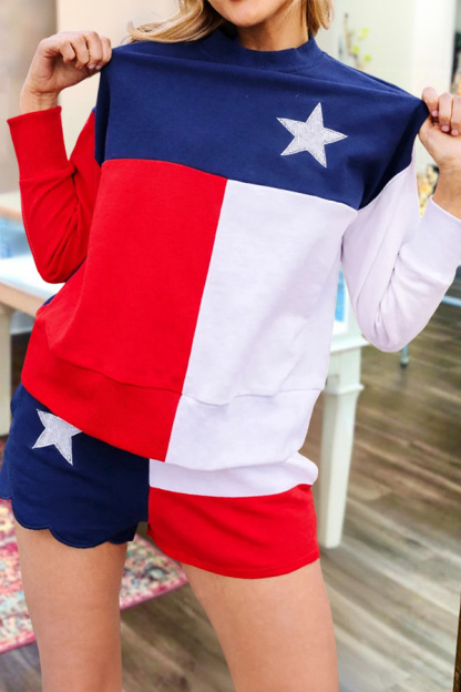 Texas Flag Sweatshirt