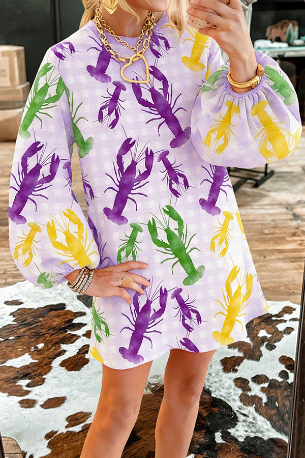 Mardi Gras Plaid Crawfish Sweatshirt Dress