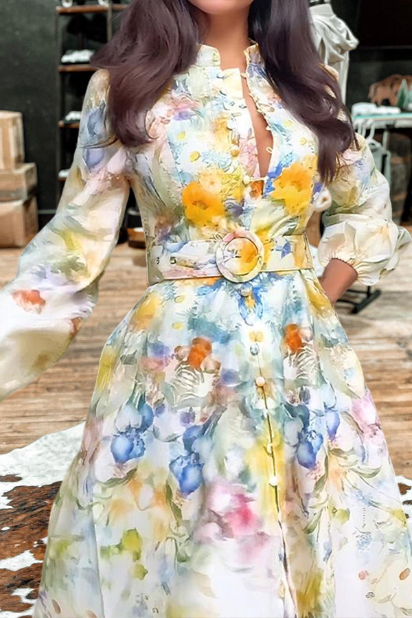 Elegant Floral Print Lantern Sleeve Dress
