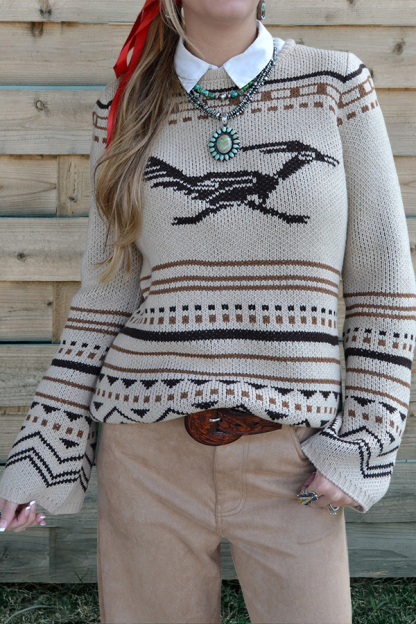 Western Striped Roadrunner Sweater