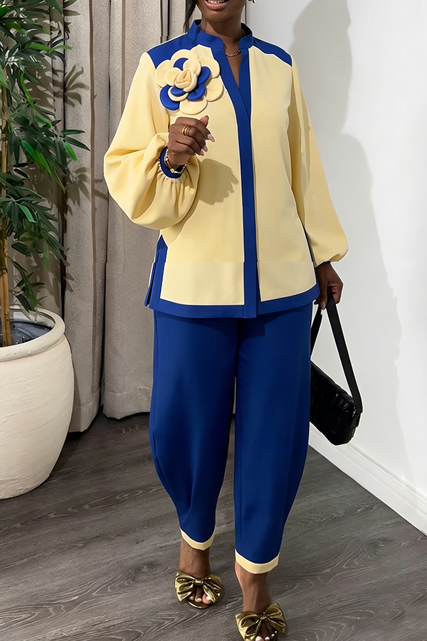 Stylish Colorblock 3D Flower Top & Barrel Pants Set