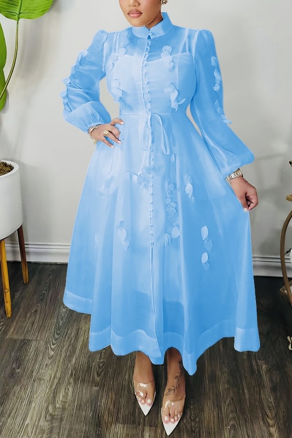 High Neck Hollow Out Lantern Sleeve  Dress