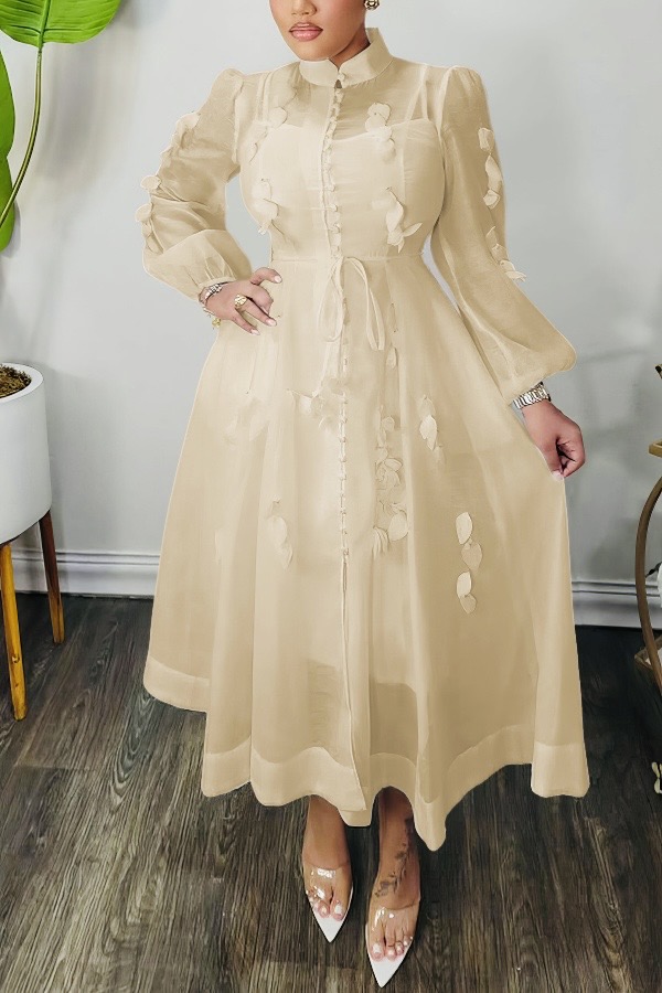 High Neck Hollow Out Lantern Sleeve  Dress