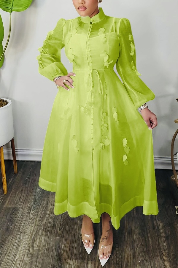 High Neck Hollow Out Lantern Sleeve  Dress