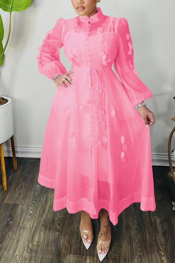 High Neck Hollow Out Lantern Sleeve  Dress