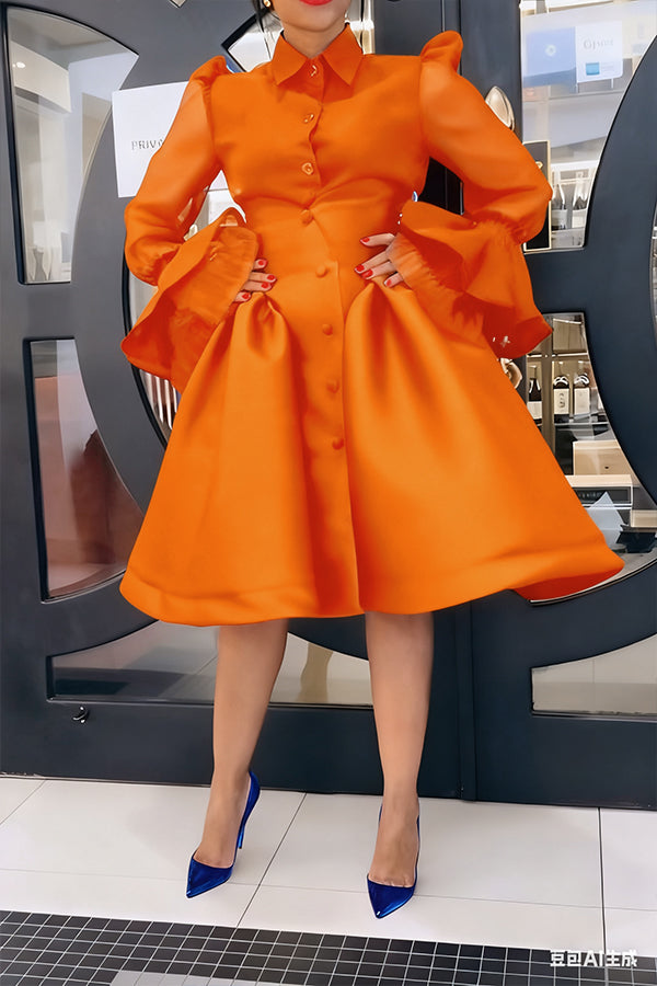 Chic Mesh Ruffle Sleeve Blouse & Skirt Set