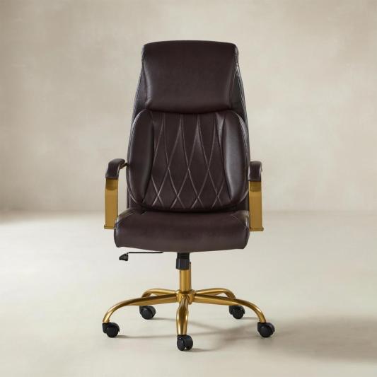 Ludwig Ergonomic Office Chair with Lumbar Support