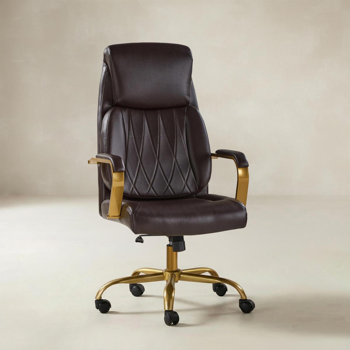 Ludwig Ergonomic Office Chair with Lumbar Support