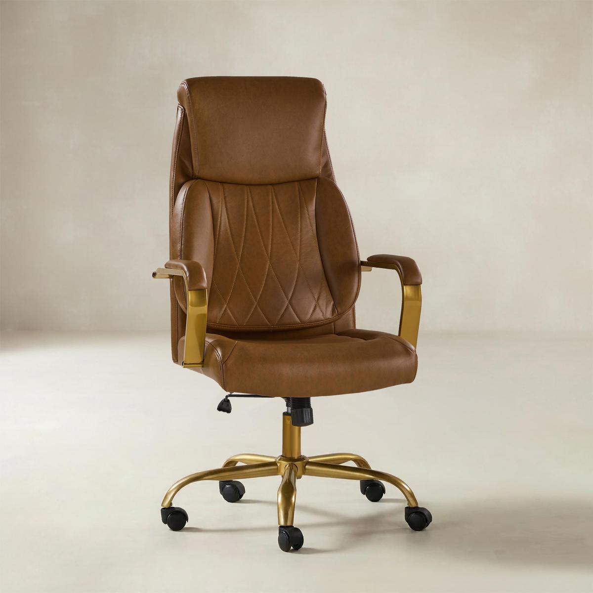 Ludwig Ergonomic Office Chair with Lumbar Support
