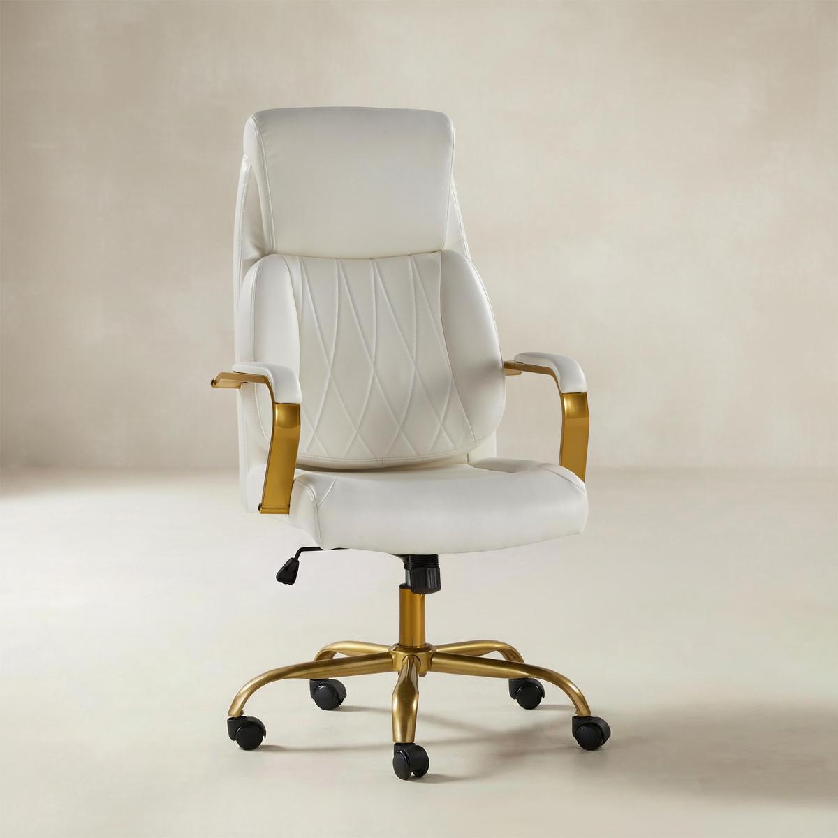 Ludwig Ergonomic Office Chair with Lumbar Support