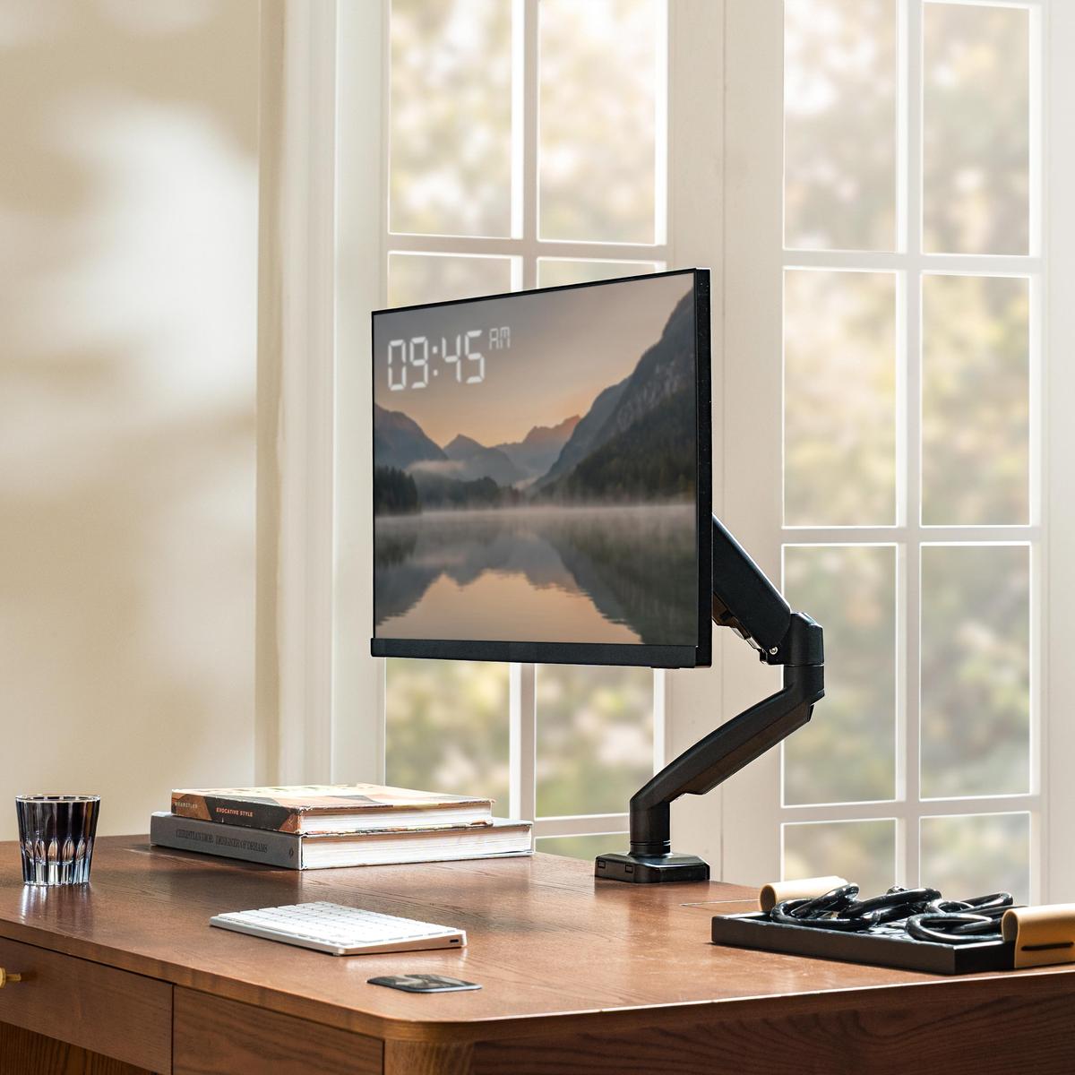 Clara Computer Single/Dual Monitor Arm