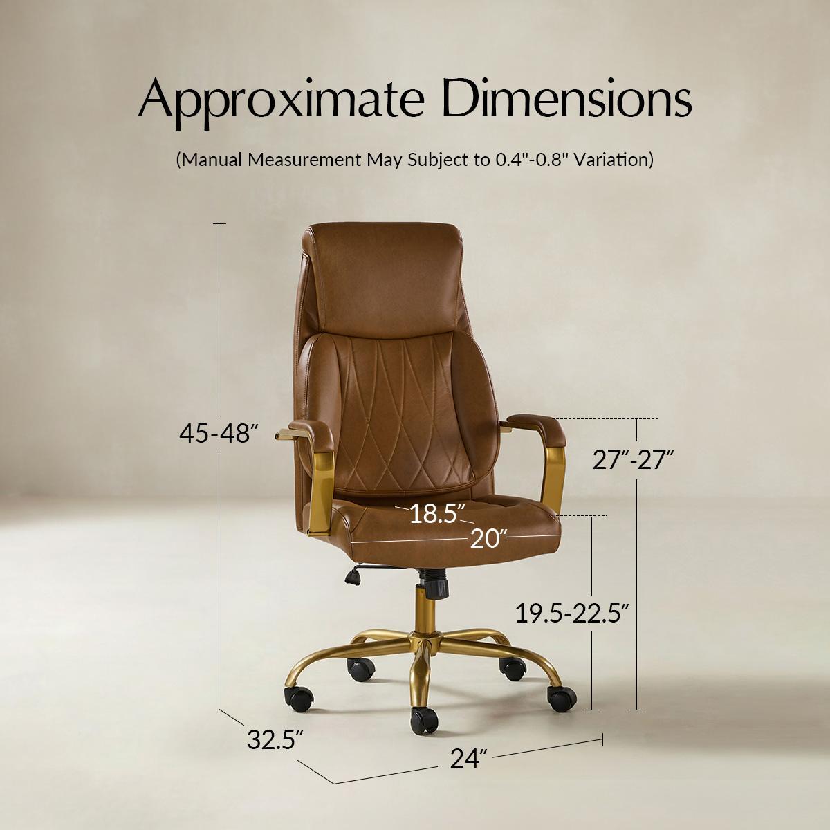 Ludwig Ergonomic Office Chair with Lumbar Support