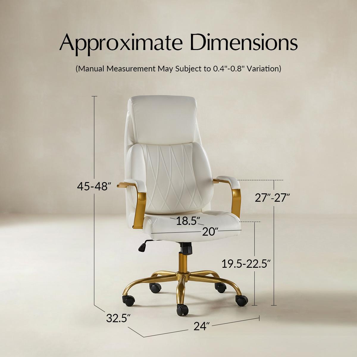 Ludwig Ergonomic Office Chair with Lumbar Support