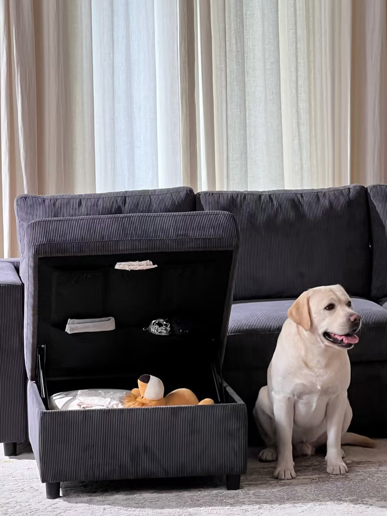 Creating a Pet-Friendly Space with Water-Resistant Features
