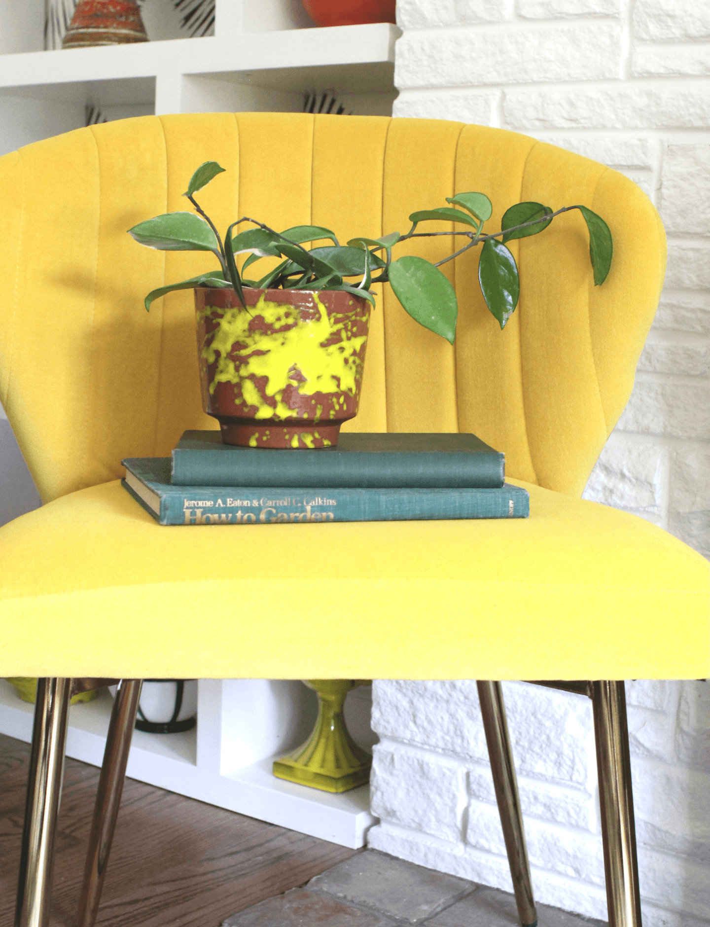 "The love for color in my home started 27 years ago"