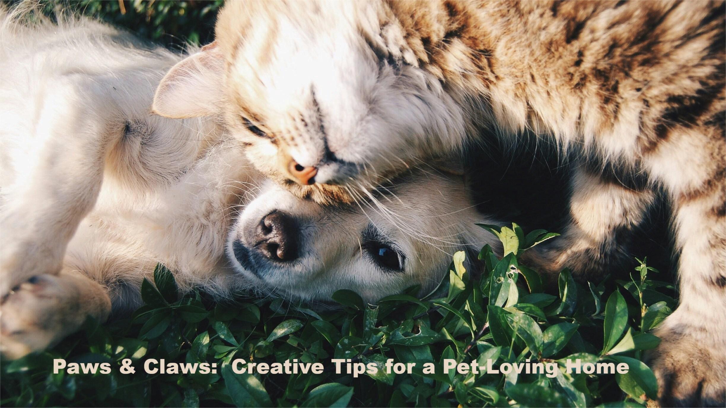 Creating a Cozy Home with Pet-Friendly Furniture Choices