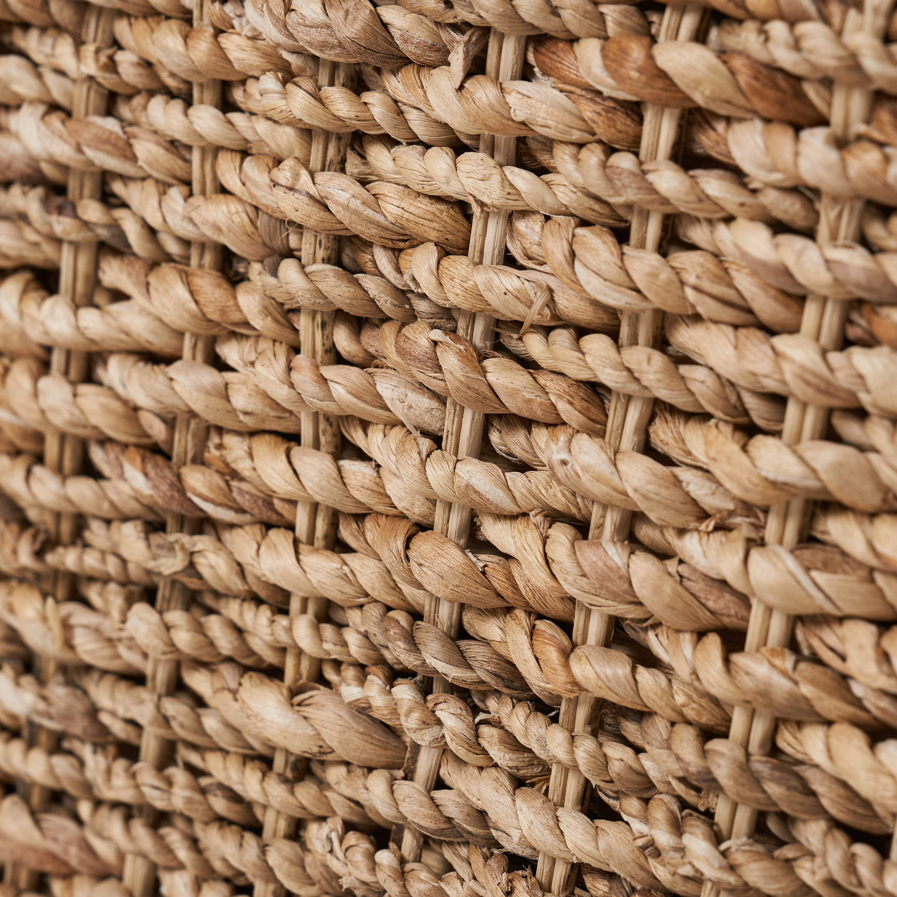 Coastal Charm: Wilhelm Rattan Storage Bench