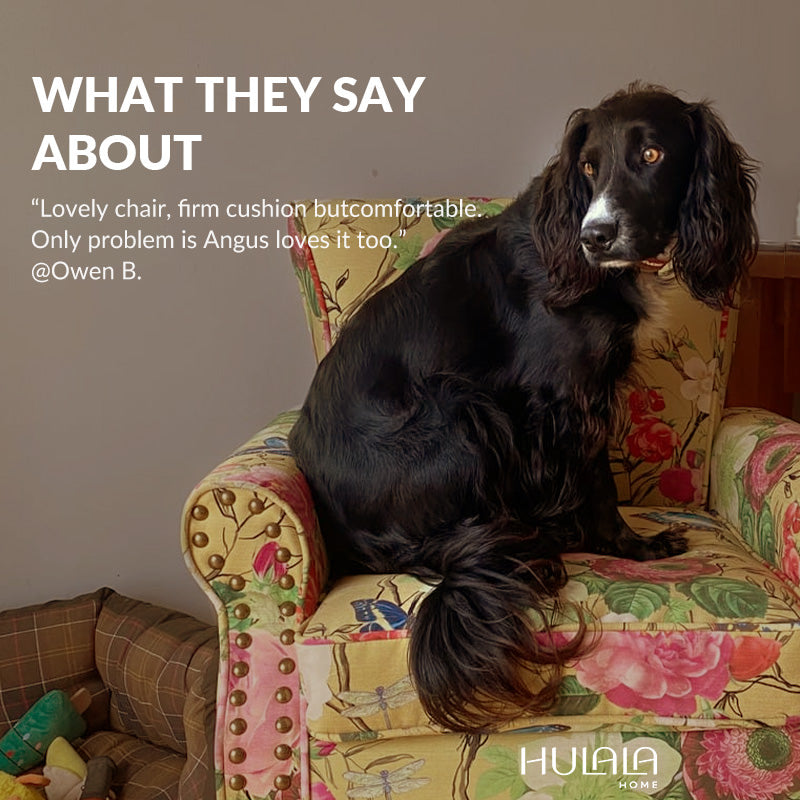 Choosing Pet-Friendly Colors: What Cats and Dogs Can Actually See